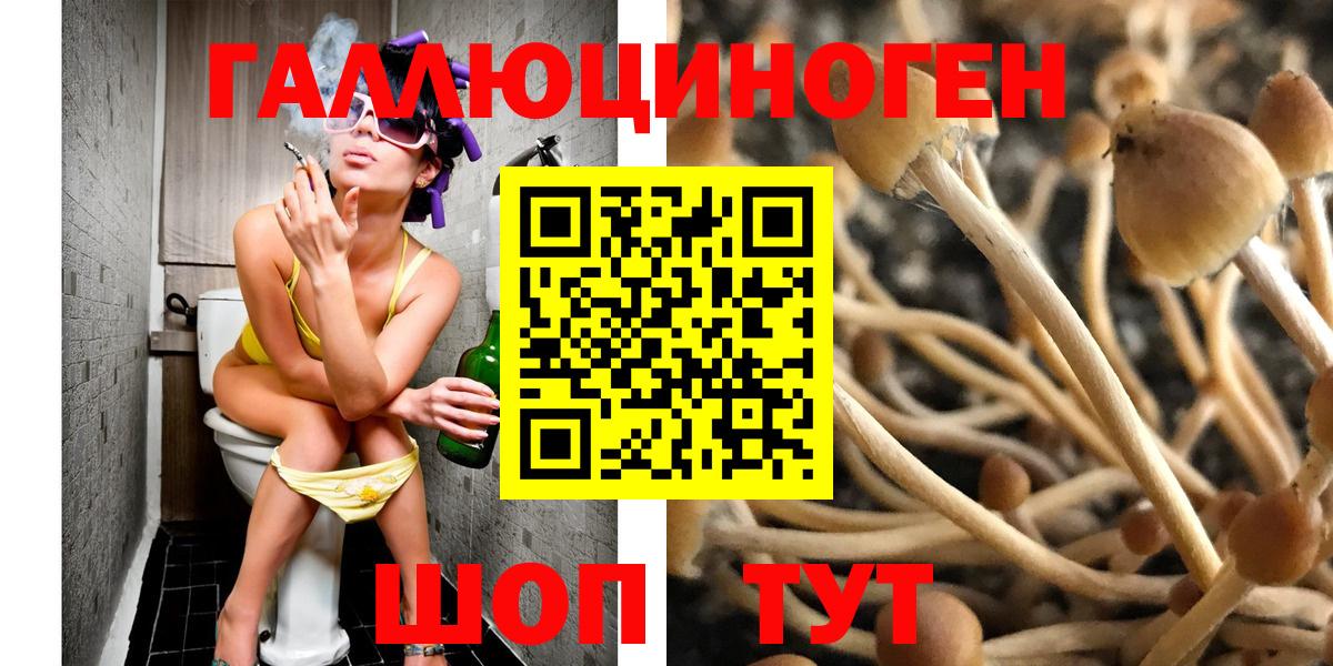 Псилоцибиновые грибы мухоморы  Псилоцибиновые грибы Psilocybine cubensis  Королёв  Вход с VPN 
